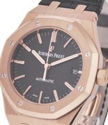 Audemars Piguet Watches